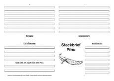 Pfau-Faltbuch-vierseitig-2.pdf